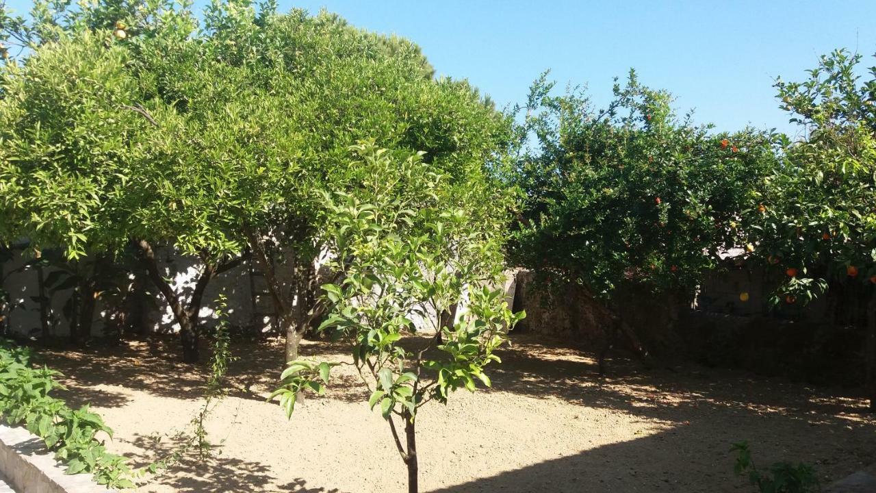 Villa Beloussi Zakynthos Kypseli Bagian luar foto